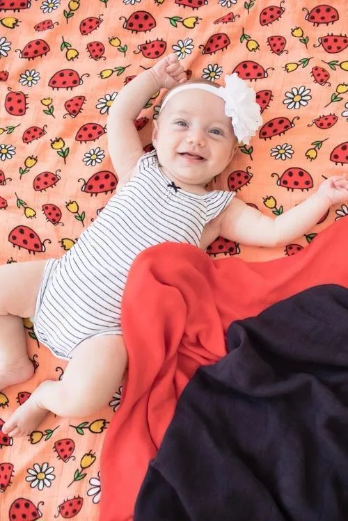 Tula Blanket Set - Ladybug Picnic