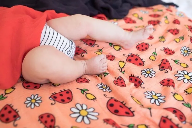 Tula Blanket Set - Ladybug Picnic
