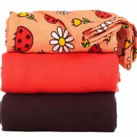 Tula Blanket Set - Ladybug Picnic