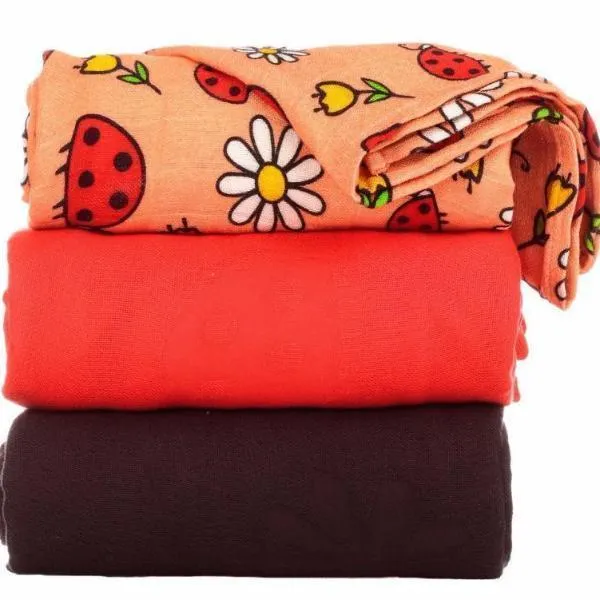 Tula Blanket Set - Ladybug Picnic