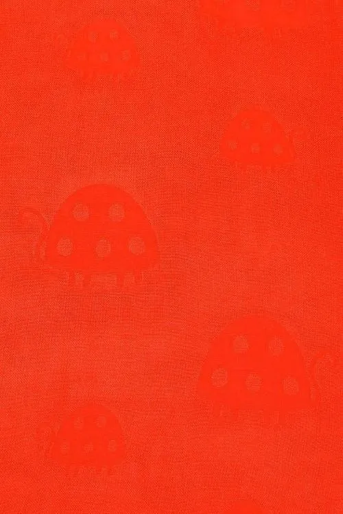 Tula Blanket Set - Ladybug Picnic